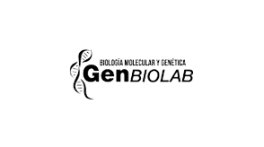 Logo 26