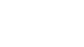 Logo 13