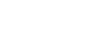 Logo 17