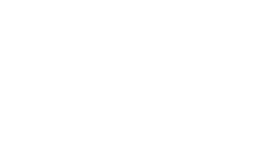 Logo 29